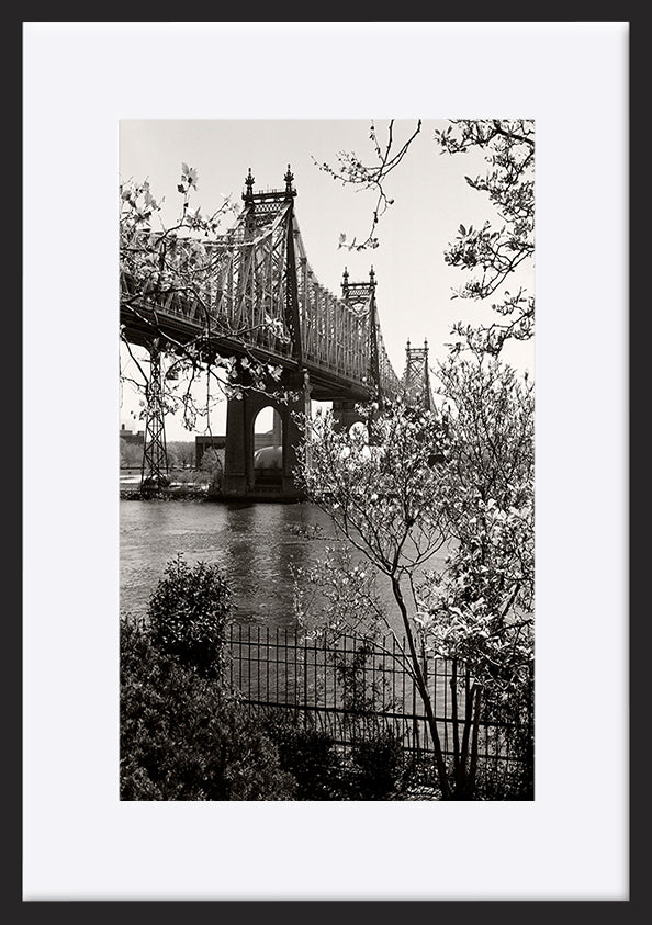 paper_frame