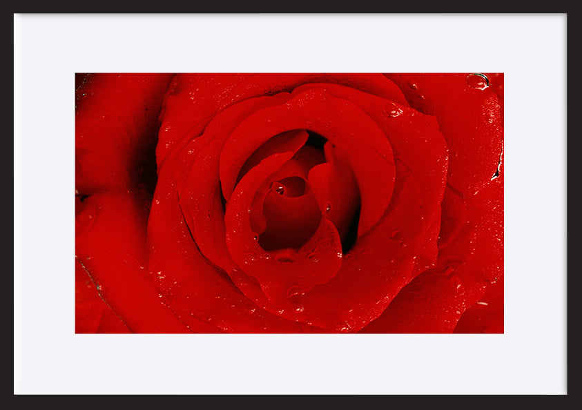 paper_frame