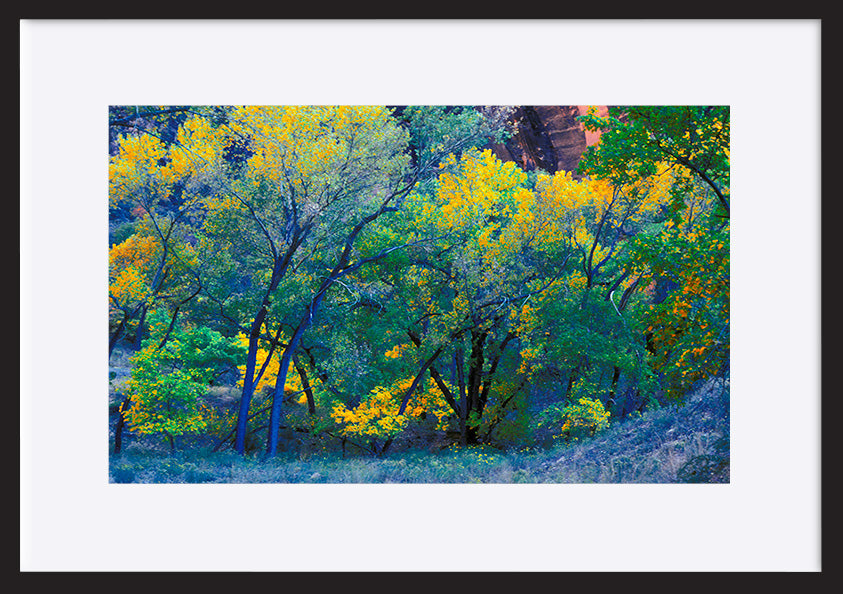 paper_frame