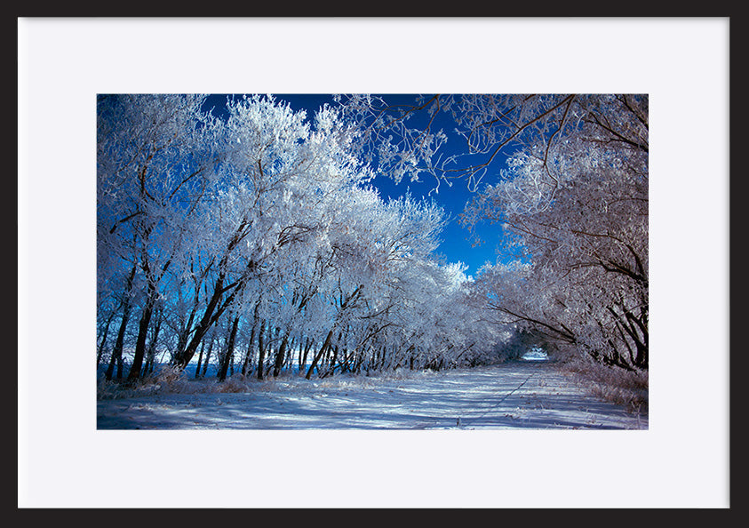 paper_frame