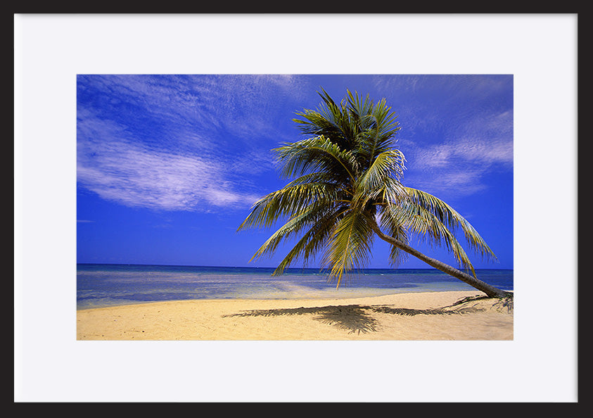 paper_frame
