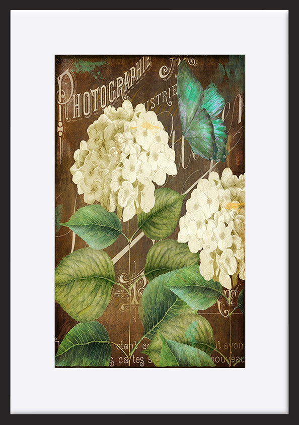 paper_frame