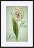 paper_frame