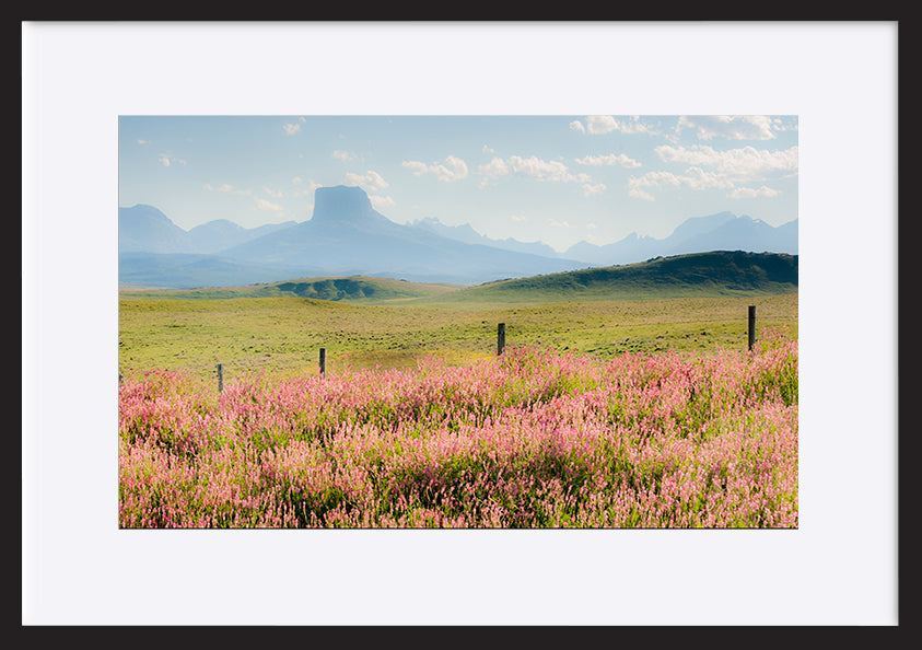 paper_frame