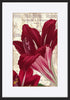paper_frame