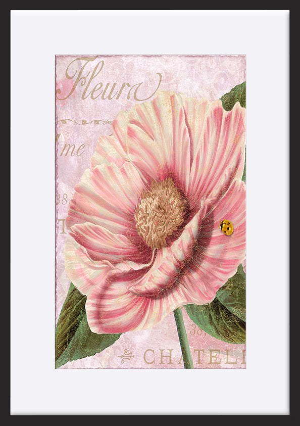 paper_frame