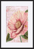 paper_frame