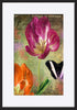 paper_frame