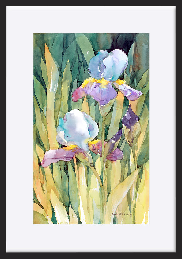 paper_frame