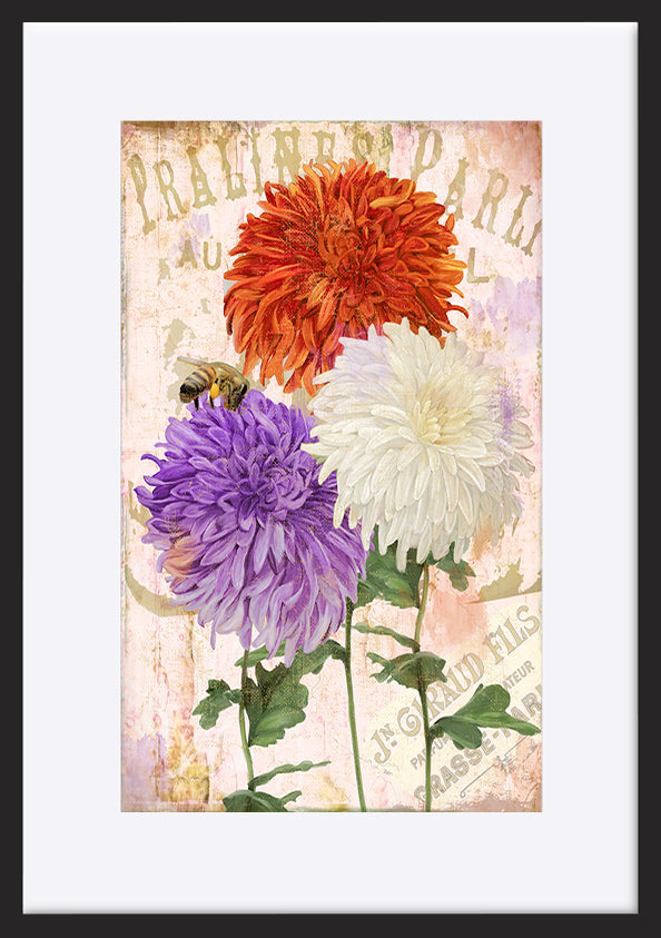 paper_frame