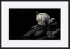 paper_frame