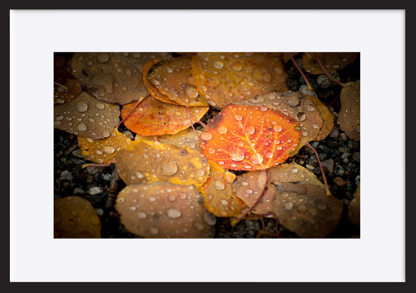 paper_frame