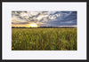 paper_frame