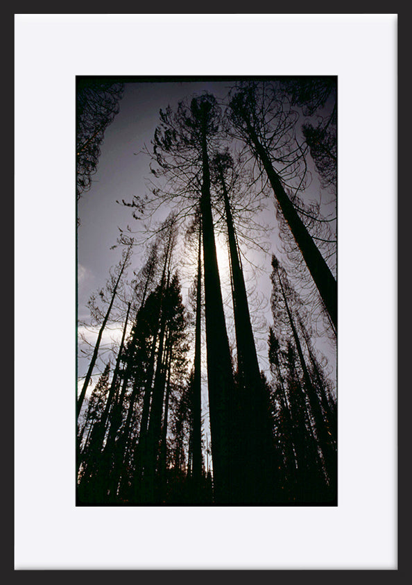 paper_frame