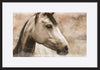 paper_frame