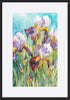 paper_frame