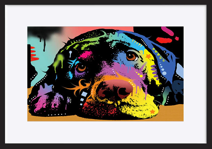 paper_frame