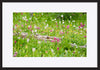paper_frame