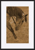 paper_frame