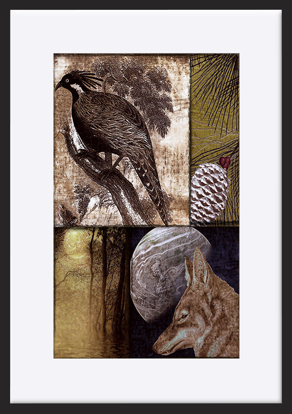 paper_frame