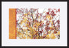paper_frame
