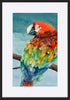 paper_frame