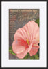 paper_frame