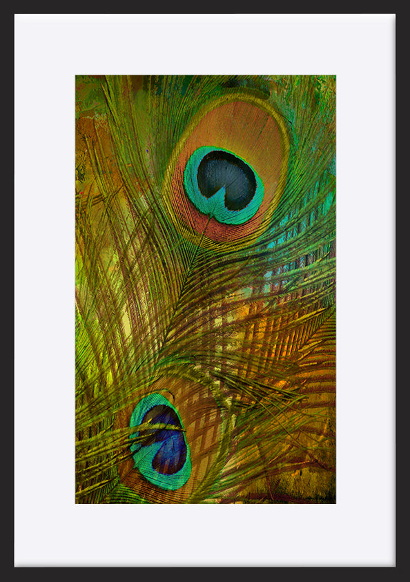paper_frame