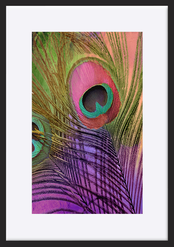 paper_frame