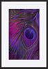 paper_frame