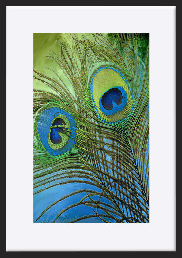 paper_frame
