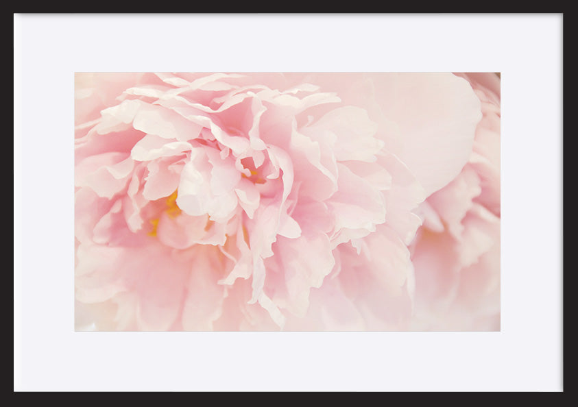 paper_frame