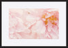 paper_frame