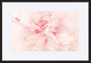 paper_frame
