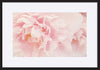 paper_frame