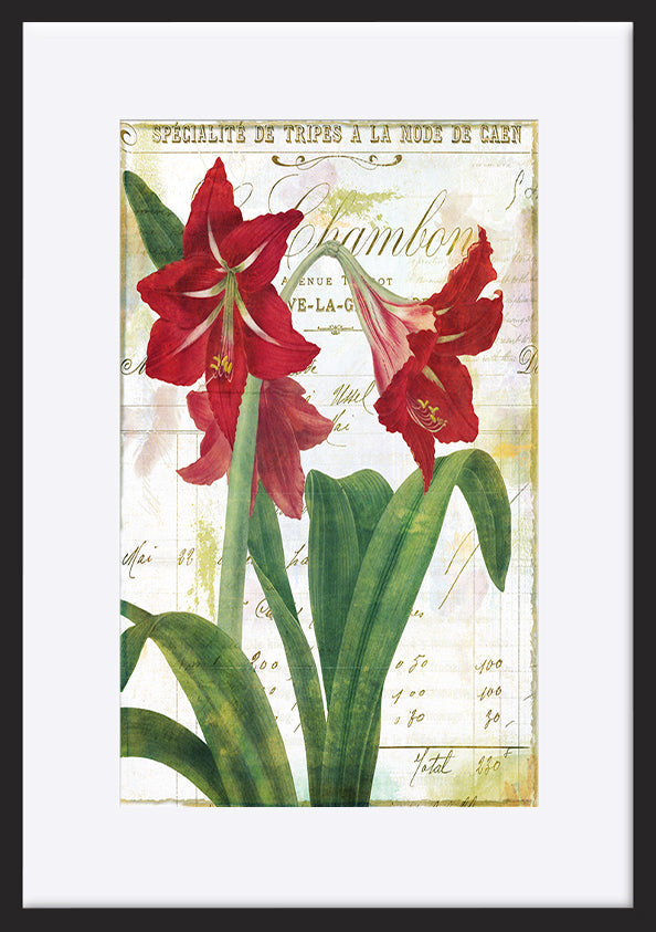 paper_frame