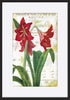 paper_frame