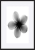paper_frame