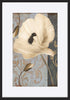 paper_frame