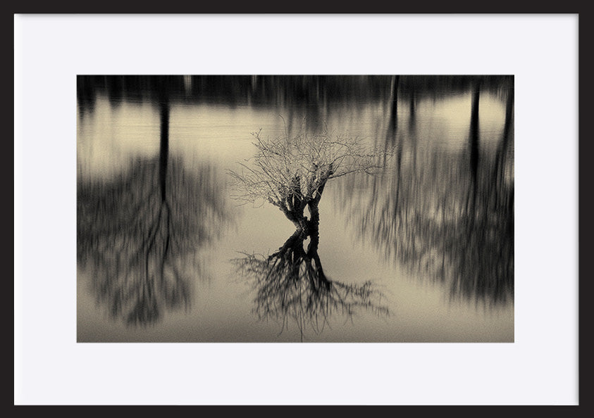 paper_frame