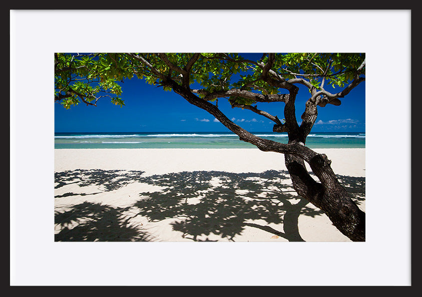 paper_frame