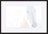 paper_frame
