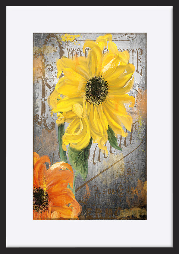 paper_frame