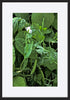 paper_frame