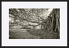 paper_frame