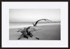 paper_frame