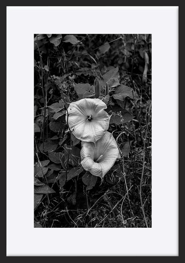 paper_frame