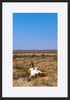 paper_frame