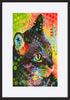 paper_frame
