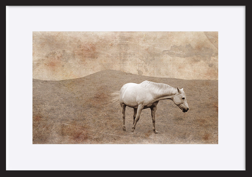 paper_frame